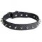 Chic Design Leather Spiked Dog Collar