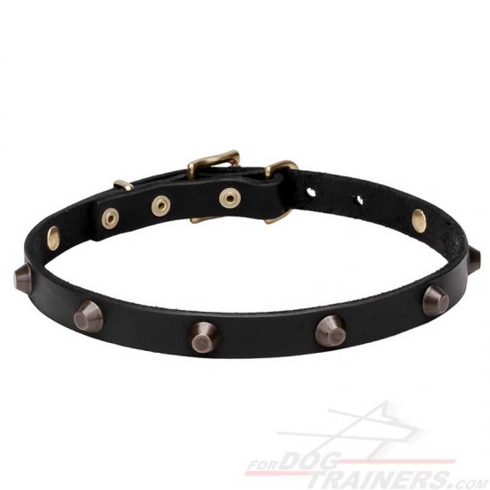 'Age of Style' Leather Dog Collar with Brass Plated Cones - Click Image to Close