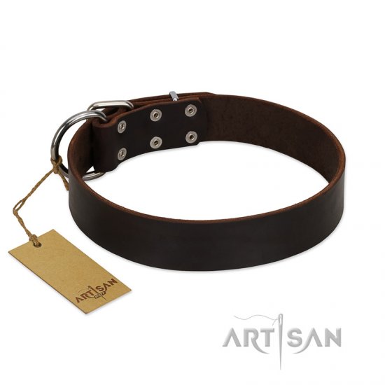 "Calm Walk" Handmade FDT Artisan Brown Leather Dog Collar - Click Image to Close