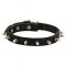 Spiked Thin Leather Collar perfect for Walking Small and Medium Dog Breeds