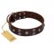 "Skull Valley" Handcrafted FDT Artisan Brown Leather Dog Collar with Skulls