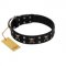 "Black Jack" Stylish Handmade FDT Artisan Black Leather Dog Collar