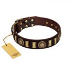 "City Call" FDT Artisan Adorned with Old Bronze-like Plates and Circles Brown Leather Dog Collar 1 1/2 inch (40 mm) Wide