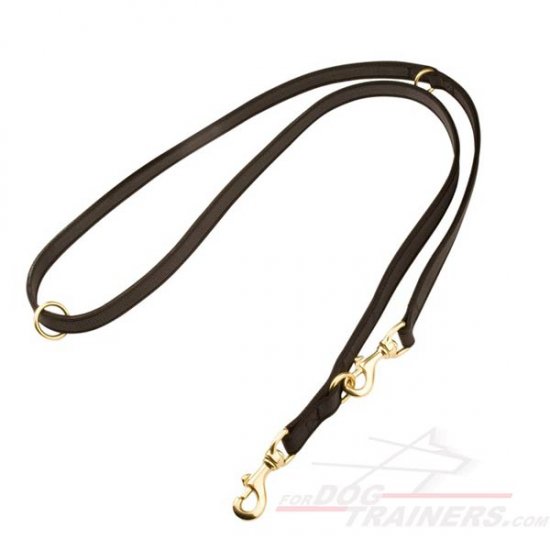 I-Grip Multifunctional Nylon Leash for Dogs