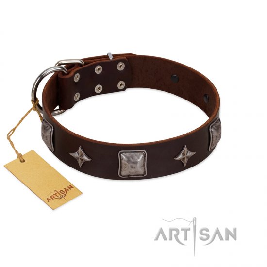 "Cold Star" Designer FDT Artisan Brown Leather Dog Collar with Silver-Like Adornments