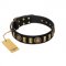 "Lion's Pride" FDT Artisan Black Leather Dog Collar with Ornate Conchos and Small Plates