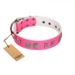 "Pink Wink" Handcrafted FDT Artisan Pink Leather Dog Collar with Plates and Stars