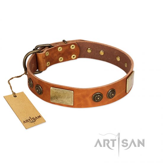 "Bronze Century" FDT Artisan Tan Leather Dog Collar with Plates and Brooches with Cool Ornament - Click Image to Close