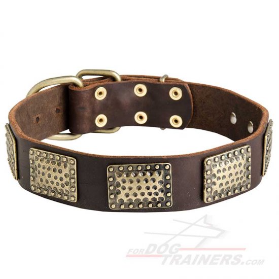 Handcrafted Leather Dog Collar with Engraved Plates