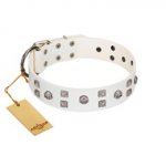 "Rock the Sky" Durable FDT Artisan White Leather Dog Collar with Chrome-plated Decorations