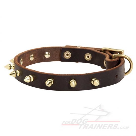 Unique Walking Spiked Leather Collar - Click Image to Close