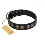 "Powerful Blow" Designer FDT Artisan Black Leather Dog Collar with Medallions