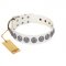 "Bohemian Spirit" Handmade FDT Artisan White Leather Dog Collar with Vintage Decorations