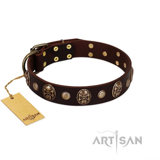 "Snazzy Paws" FDT Artisan Brown Leather Dog Collar Adorned with Conchos and Medallions