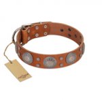 "Far Star" FDT Artisan Tan Leather Dog Collar with Engraved Studs