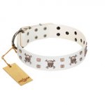 "Skull Island" Premium Quality FDT Artisan White Designer Dog Collar with Crossbones and Studs