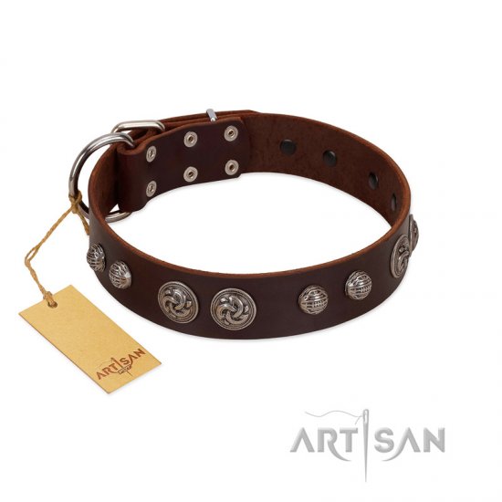 "Choco Brownie" FDT Artisan Brown Leather Dog Collar Adorned with Silver-Like Conchos - Click Image to Close