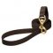 Best for Rainy Weather Nylon Dog Leash