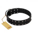 "Dark Night" Handmade FDT Artisan Black Leather Dog Collar with Silver-Like Studs