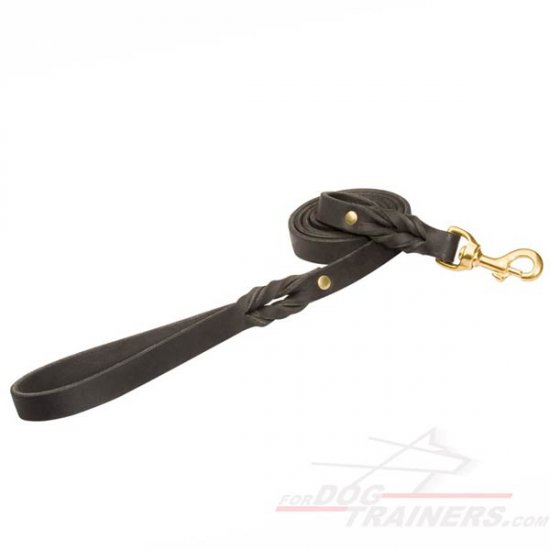 Best Leather Dog Leash for Control of Braided Design