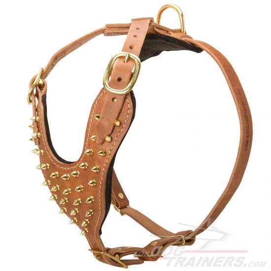 Designer Dog Harness with Brass Spikes for Walking and Training - Click Image to Close