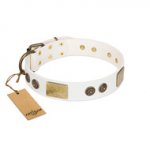 "Sweet Melody" FDT Artisan White Leather Dog Collar with Plates and Ornamented Studs