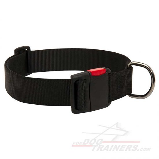 All Weather Practicable Nylon Dog Collar with Quick Release Buckle - Click Image to Close