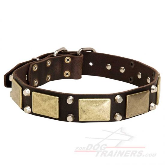 Vintage War-Like Leather Dog Collar with Brass Massive Plates +2 Nickel Pyramids - Click Image to Close