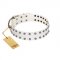 "White Night" FDT Artisan White Leather Dog Collar with Vinatge Silver-like Studs