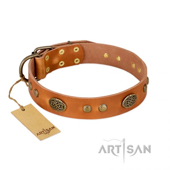 ‘Sun Beams’ FDT Artisan Tan Leather Dog Collar with Decorations - Click Image to Close