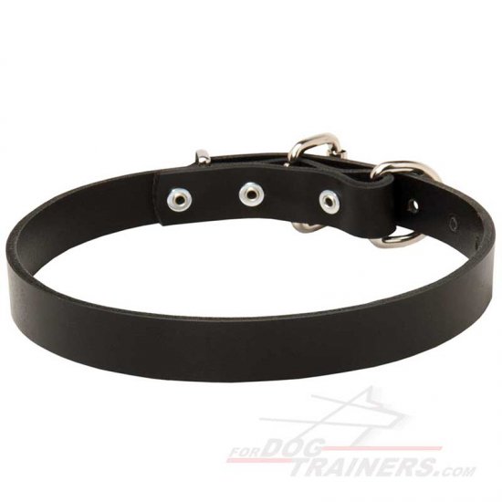 Thin Leather Dog Collar 1 inch (2.5cm) width