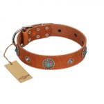 "Marine Antiques" Handmade FDT Artisan Tan Leather Dog Collar with Blue Stones