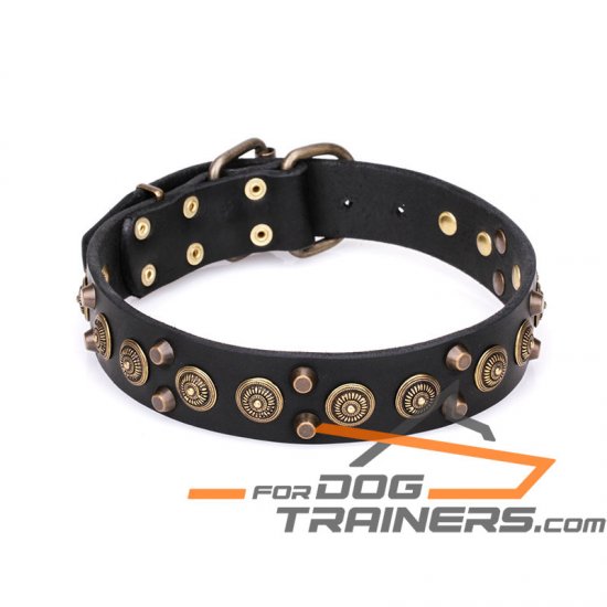 'Regal Heritage' Funky Leather Collar for Dog with Brass Plated Pyramids and Old Bronze-Like Studs 1 1/2 inch wide - Click Image to Close