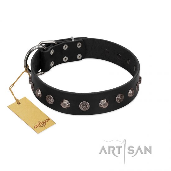 "Black Knight" Handmade FDT Artisan Black Leather Dog Collar with Silver-Like Studs