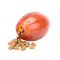 “Champion’s choice” Treat Dispensing Football - Medium