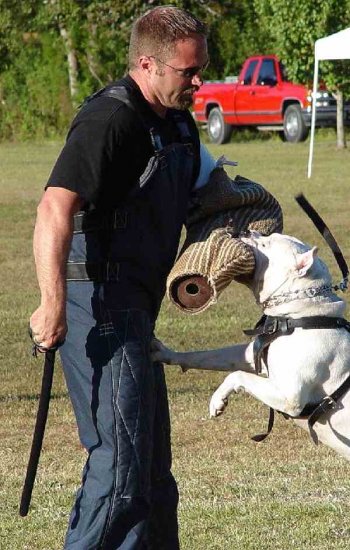 Protection Dog Training Bite Set - Bite Sleeve, Removable Cover and Agitation Stick