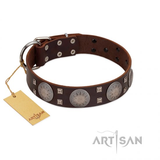 "Sun in Barchans" Modern FDT Artisan Brown Leather Dog Collar with Engraved Stars on Round Plates and Studs