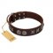 "Silver Sunset" Designer Handmade FDT Artisan Brown Leather Dog Collar