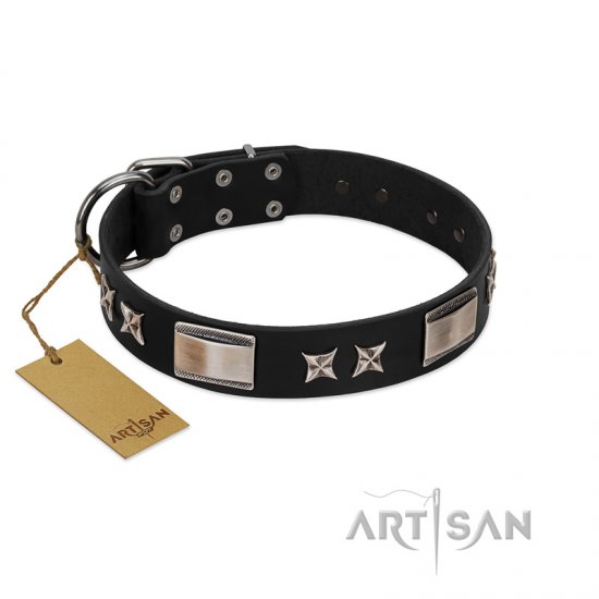 "Pitch Dark" FDT Artisan Black Leather Dog Collar with Stars and Plates