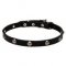 "Lucky" 20 mm Leather Dog Collar with Nickel Plated Engraved Studs