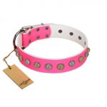 "Roseate Caprice" Designer Handmade FDT Artisan Pink Leather Dog Collar