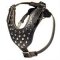 Pyramids Studded Leather Dog Harness