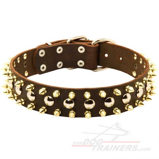 Stylish Walking Leather Dog Collar with Silvery Studs and Brass Spikes