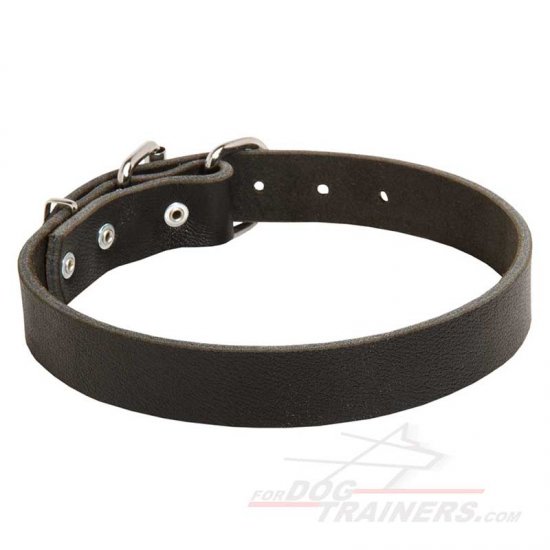 Classic Design Leather Dog Collar - 1 1/5 (3 cm) wide - Click Image to Close