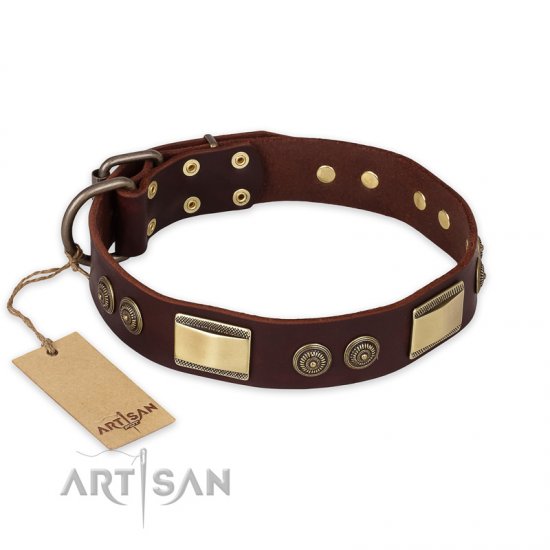 'Golden Stones' FDT Artisan Brown Leather Dog Collar with Old Bronze Look Plates and Circles - 1 1/2 inch (40 mm) wide - Click Image to Close