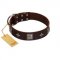 "Cold Star" Designer FDT Artisan Brown Leather Dog Collar with Silver-Like Adornments