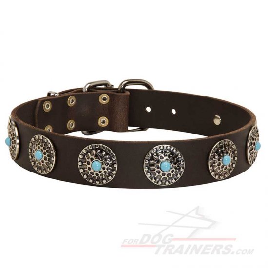 Equisite Leather Dog Collar with Silver Comchos with Blue Stones - Click Image to Close