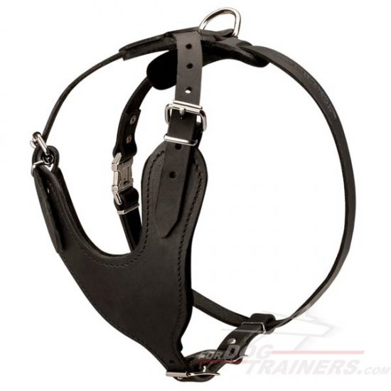 Padded Leather Dog Harness for Agitation/Protection/Attack Training and Walking