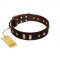 "Blinking Illusion" FDT Artisan Brown Leather Dog Collar with Old Bronze-like Studs and Plates