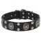 'Gothic Style' Leather Dog Collar with Oval Plates and Half Ball Studs